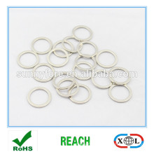 klein-Ring-Neodym-Magneten zum Verkauf